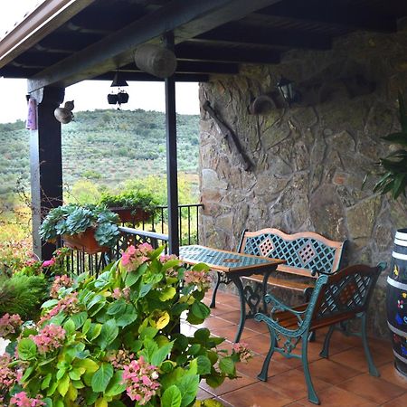 Casa Rural Los Olivos Sotoserrano Bagian luar foto