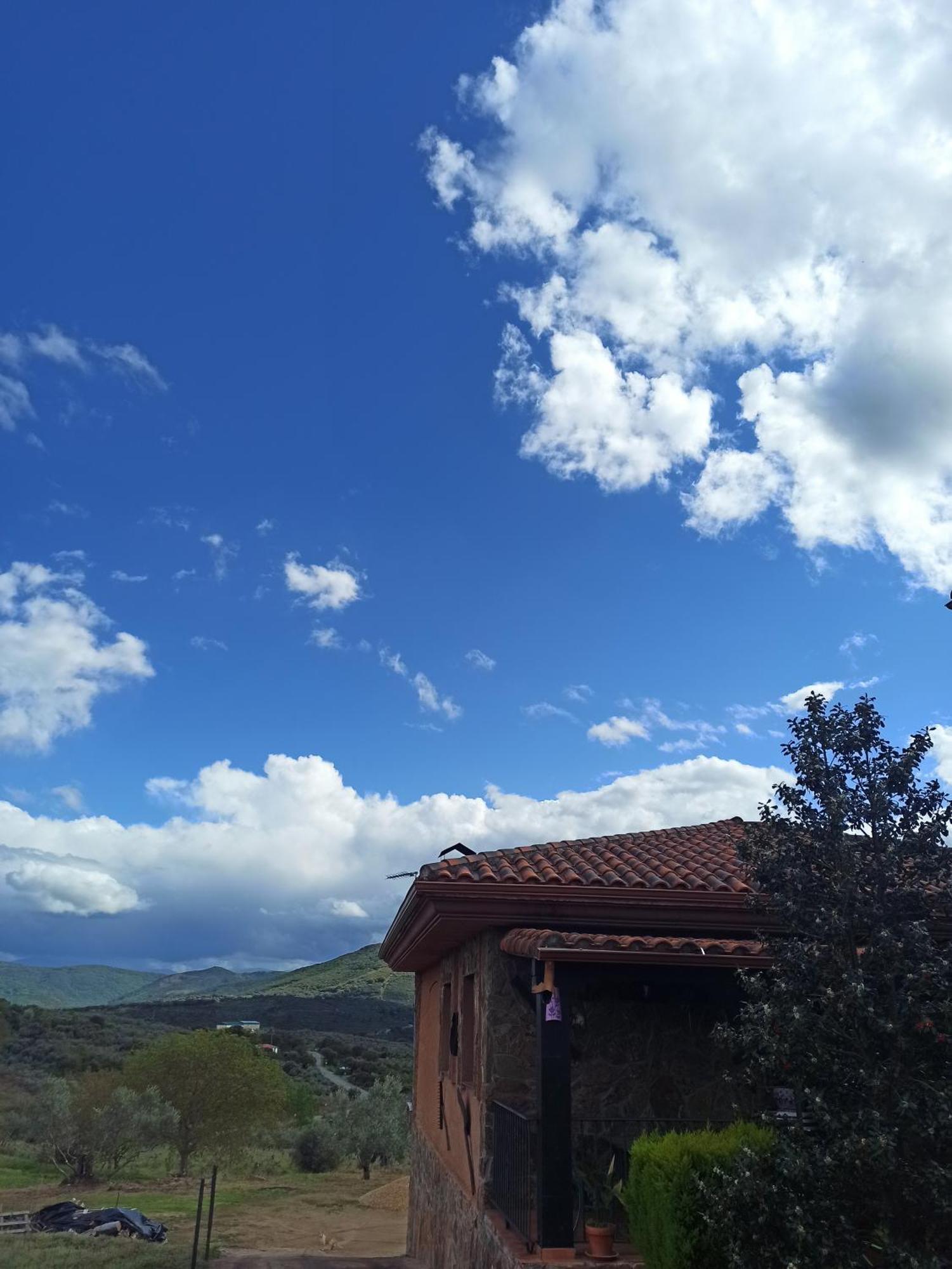 Casa Rural Los Olivos Sotoserrano Bagian luar foto