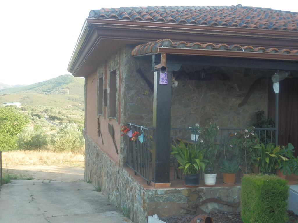 Casa Rural Los Olivos Sotoserrano Bagian luar foto